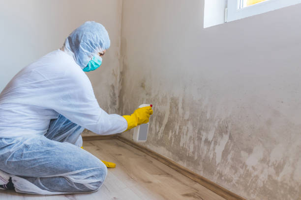 Licensed Mold Testing service in Sanford, FL - WQB Mold Removal