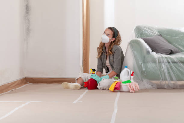 Reliable Mold Testing contractor in Sanford, FL by WQB Mold Removal